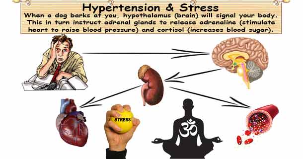 Suffering from stress and hypertension? Here’s why you need health insurance